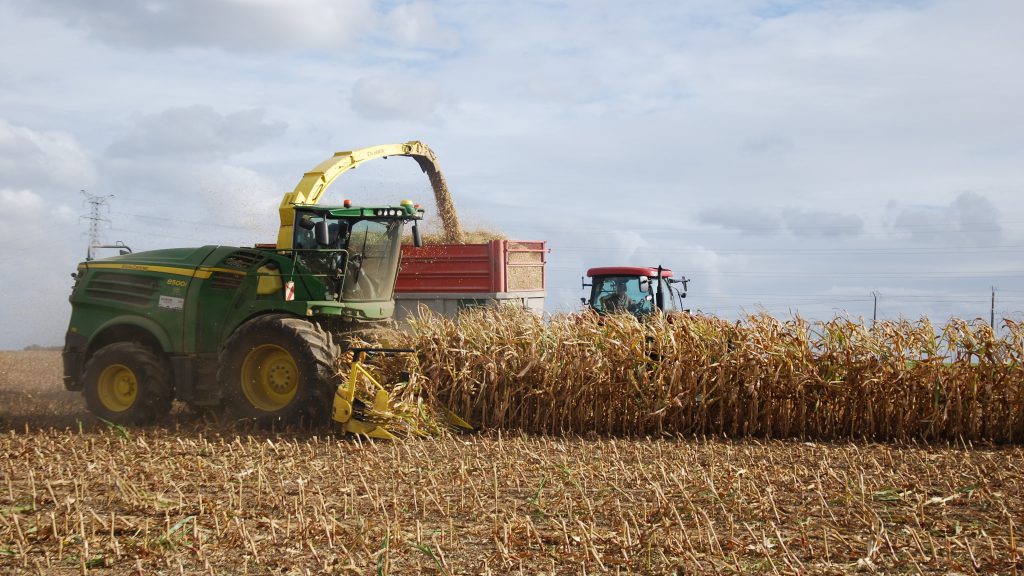 Prestation ensilage maïs