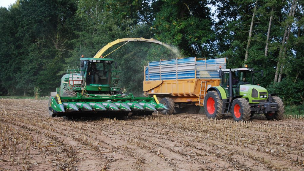 Prestation ensilage maïs épi