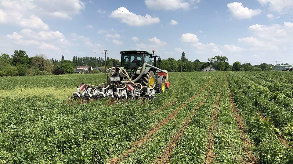 Prestation semis strip-till