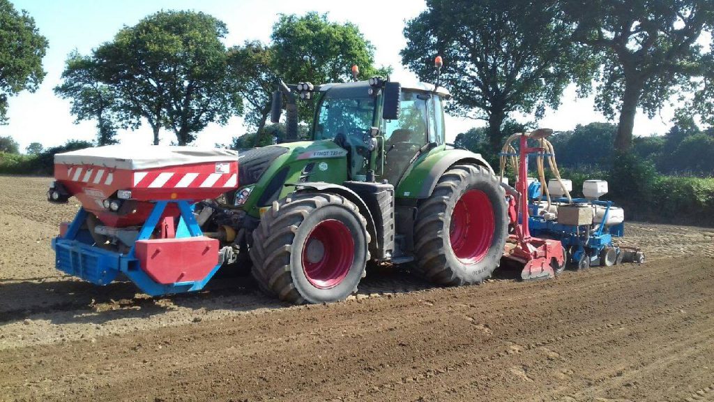 Prestation semis de légumes